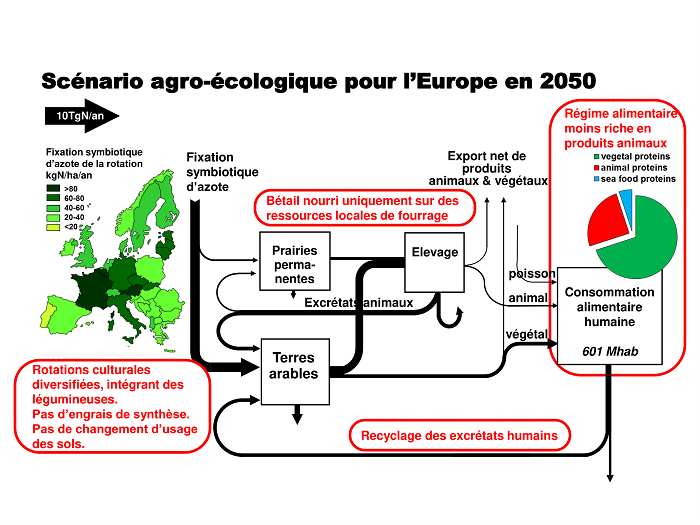 Une Agriculture Biologique Pour Nourrir L’Europe En 2050 | CNRS